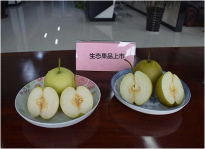 小溪彎彎生態(tài)農(nóng)莊簡介