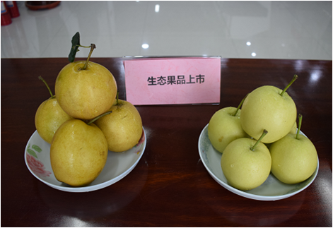 小溪彎彎生態(tài)農(nóng)莊簡介